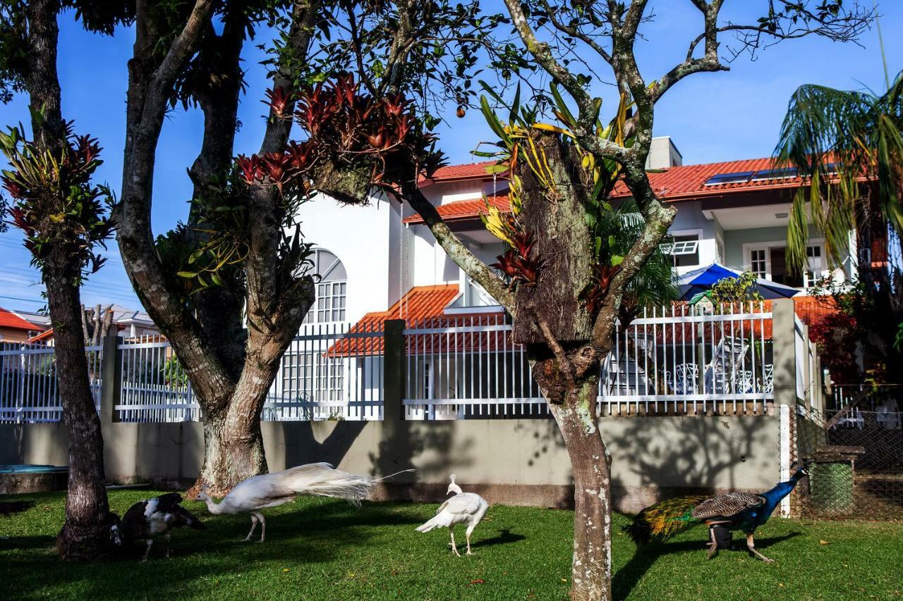 Pousada Pavao Branco Florianopolis Exterior photo